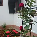 Apartament Devcic Poreč