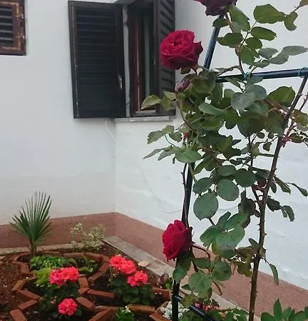 Apartment Devcic Porec