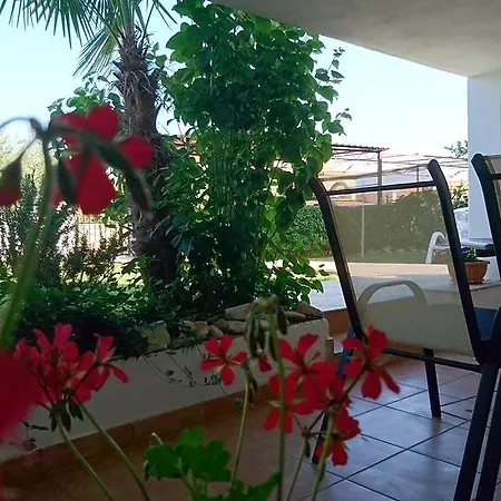 Devcic Apartment Porec