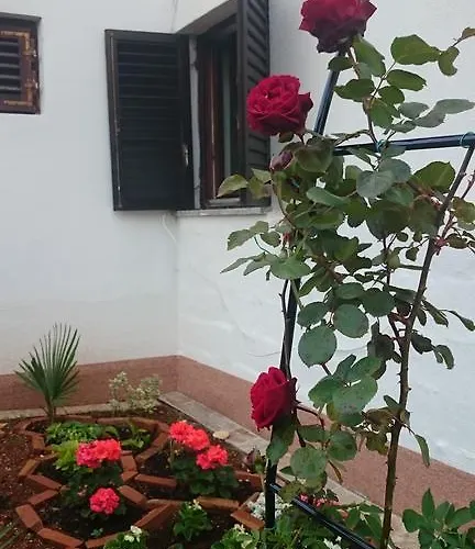 Apartman Devcic Poreč